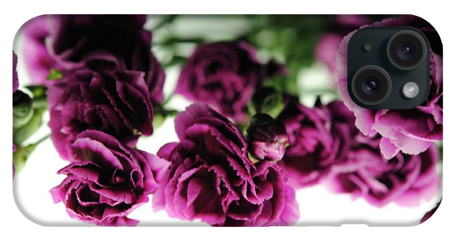 Pink and Purple Carnations On Lightbox - Phone Case