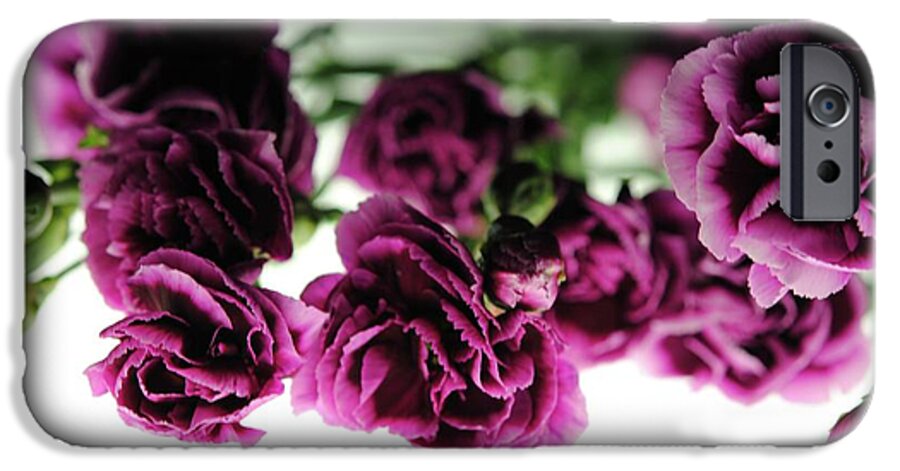 Pink and Purple Carnations On Lightbox - Phone Case