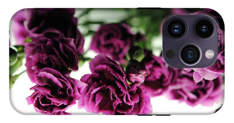 Pink and Purple Carnations On Lightbox - Phone Case