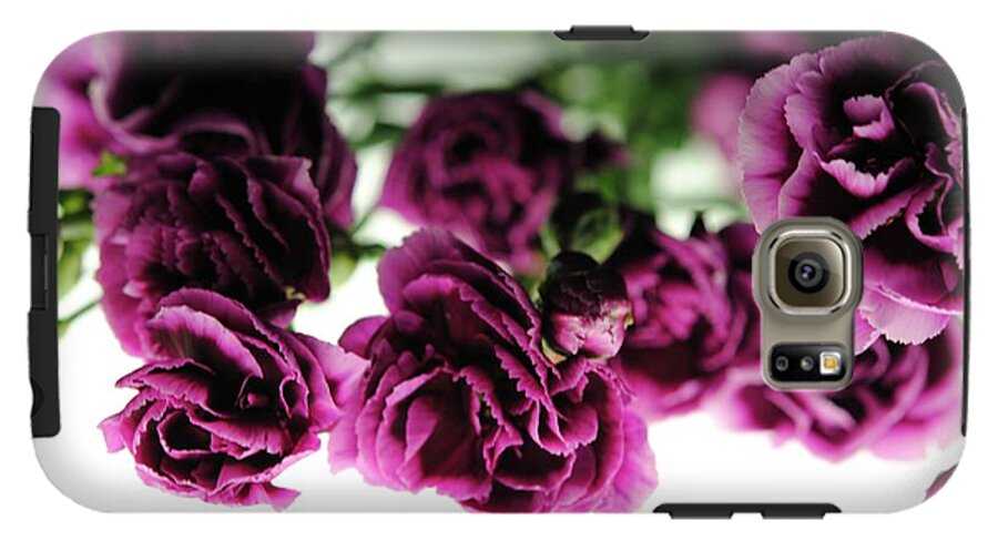 Pink and Purple Carnations On Lightbox - Phone Case