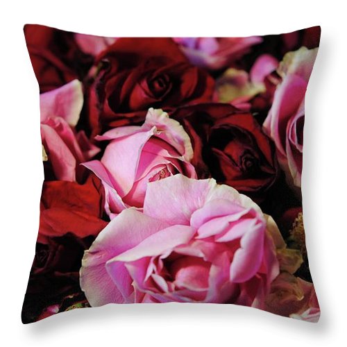 Pink and Red Roseheads - Throw Pillow