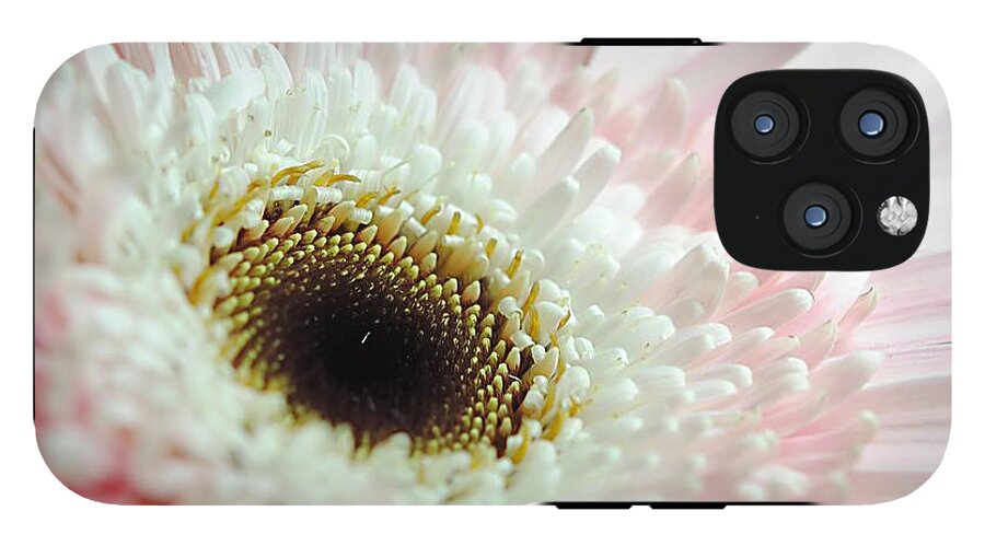 Pink and White Daisy - Phone Case