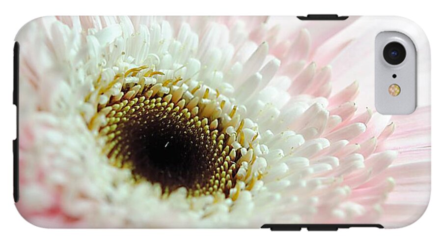 Pink and White Daisy - Phone Case