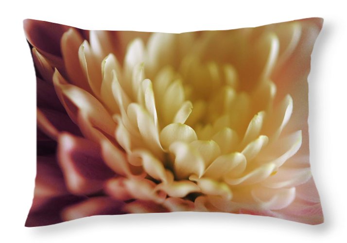 Pink and White Flower - Throw Pillow
