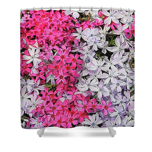 Pink and White Phlox - Shower Curtain