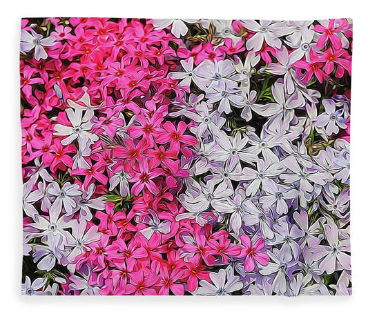 Pink and White Phlox - Blanket