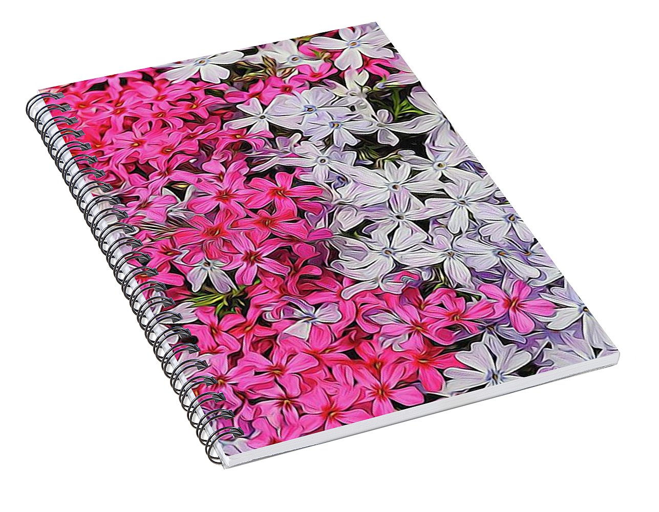 Pink and White Phlox - Spiral Notebook
