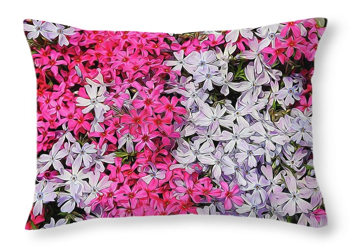 Pink and White Phlox - Throw Pillow