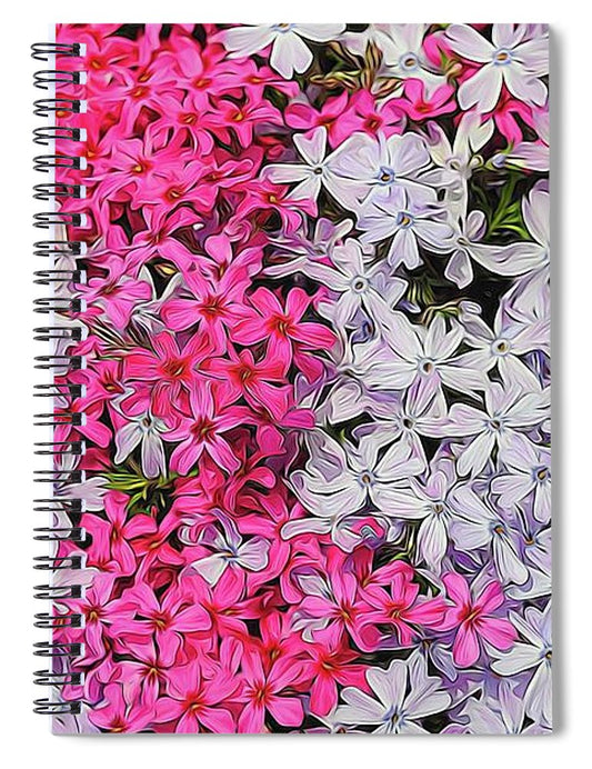 Pink and White Phlox - Spiral Notebook