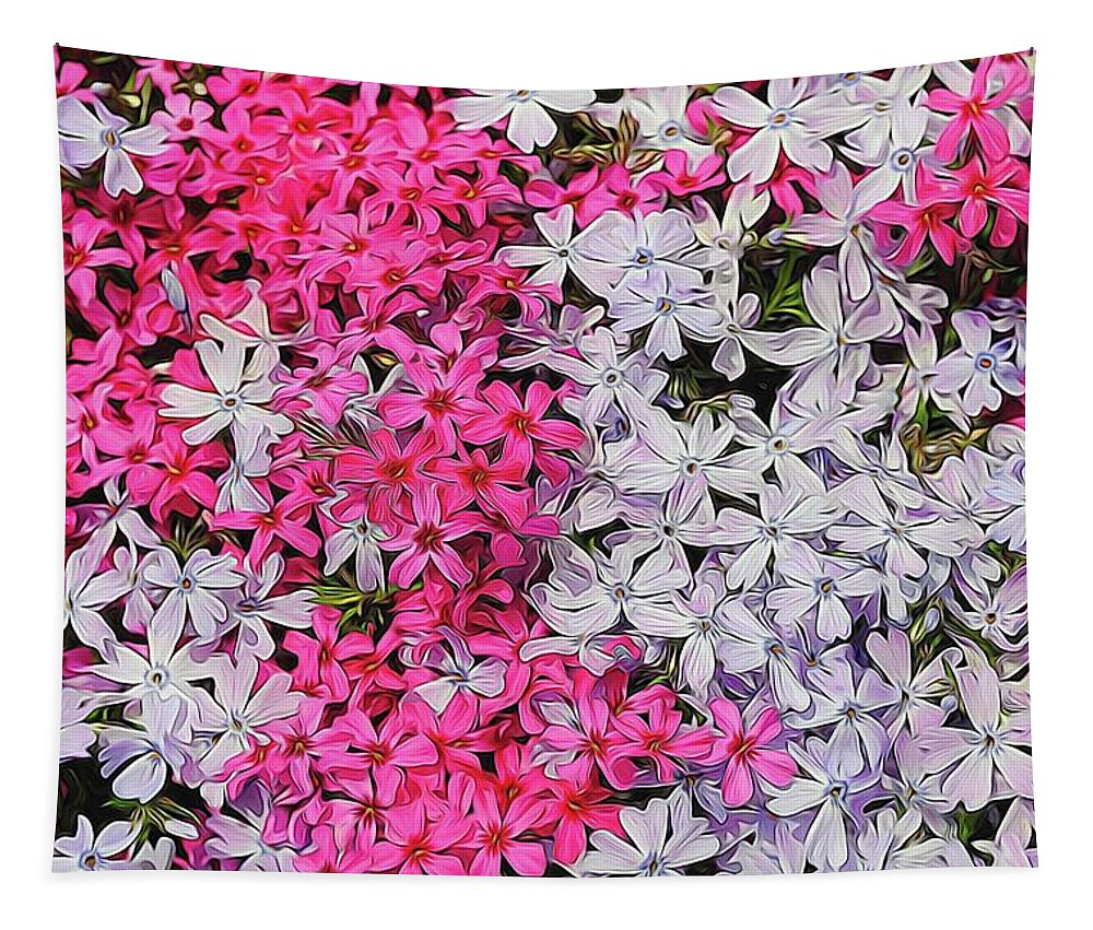 Pink and White Phlox - Tapestry