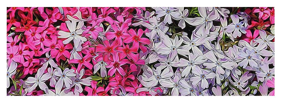 Pink and White Phlox - Yoga Mat