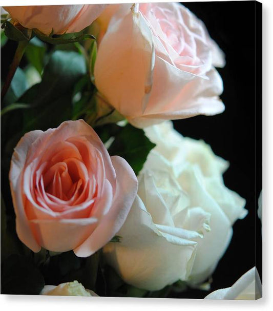 Pink and White Roses Bouquet - Canvas Print