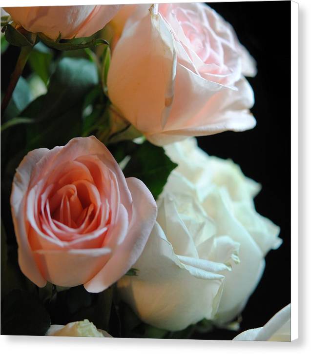 Pink and White Roses Bouquet - Canvas Print