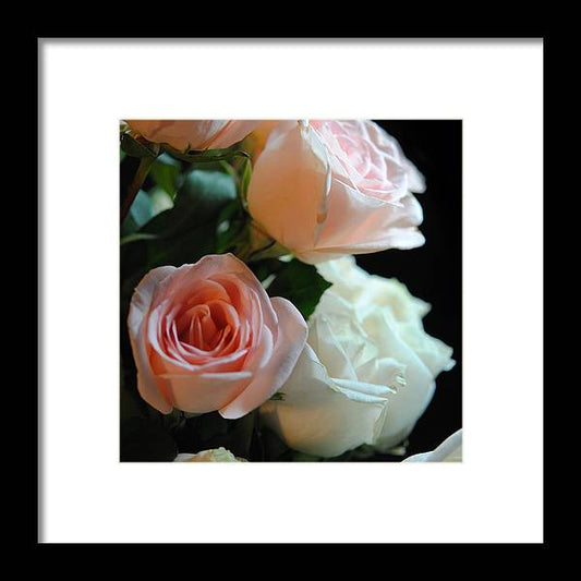 Pink and White Roses Bouquet - Framed Print