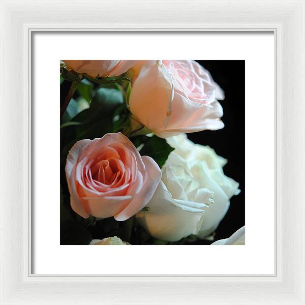 Pink and White Roses Bouquet - Framed Print