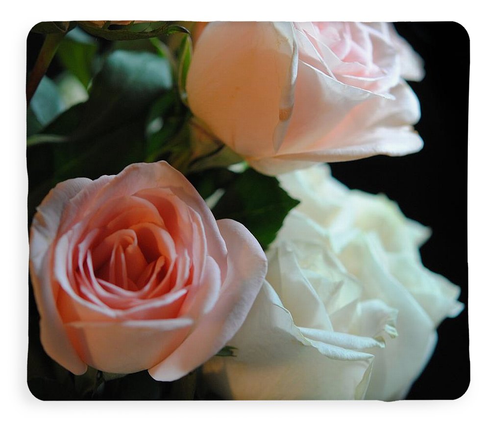Pink and White Roses Bouquet - Blanket