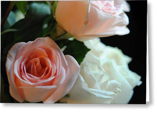 Pink and White Roses Bouquet - Greeting Card