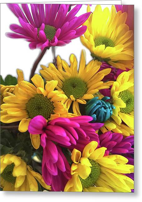 Pink and Yellow Daisies - Greeting Card
