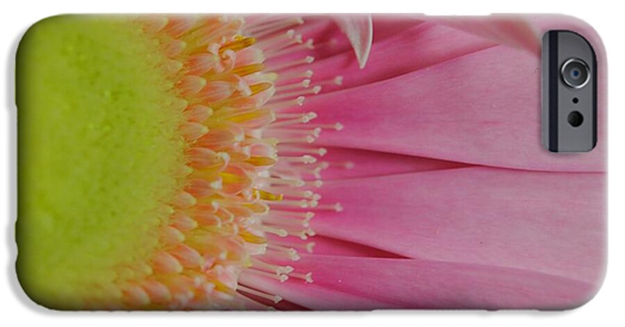 Pink and Yellow Daisy - Phone Case