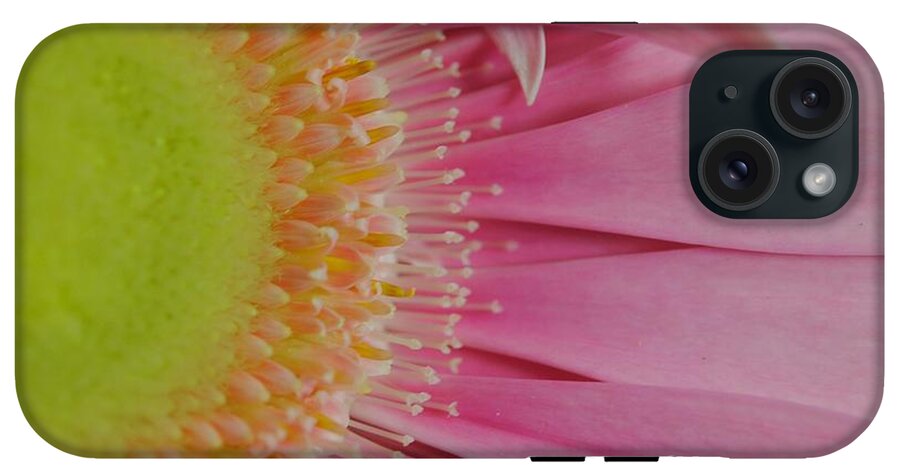 Pink and Yellow Daisy - Phone Case