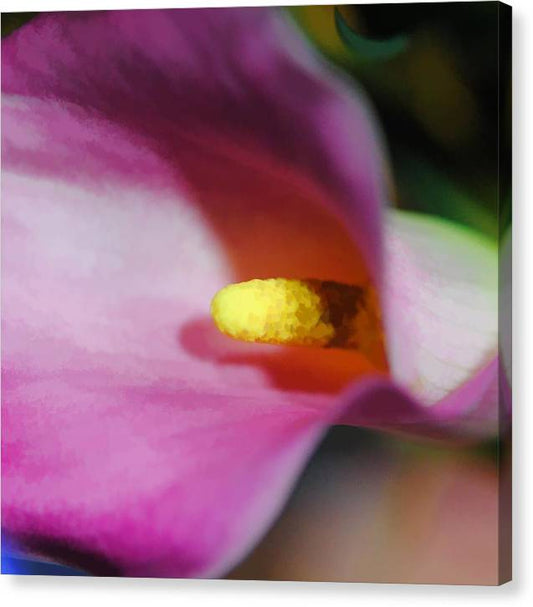 Pink Calla Lily Sideview - Canvas Print