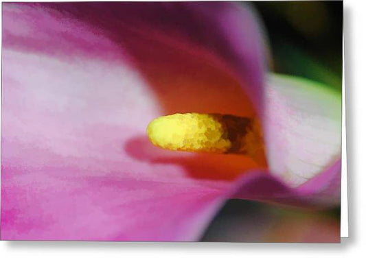 Pink Calla Lily Sideview - Greeting Card