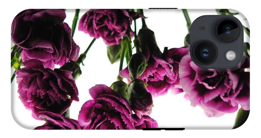 Pink Carnations on White - Phone Case