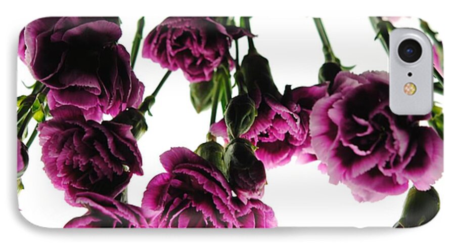 Pink Carnations on White - Phone Case