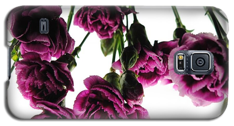 Pink Carnations on White - Phone Case