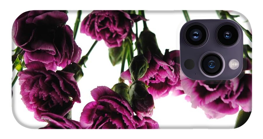 Pink Carnations on White - Phone Case