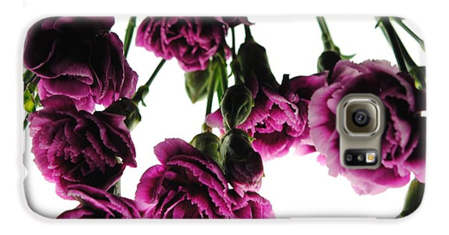 Pink Carnations on White - Phone Case