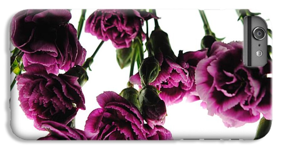 Pink Carnations on White - Phone Case