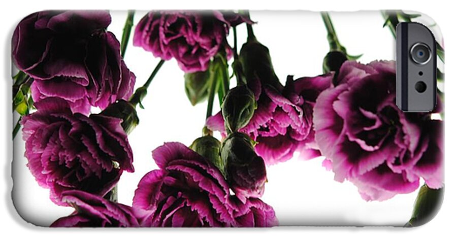 Pink Carnations on White - Phone Case