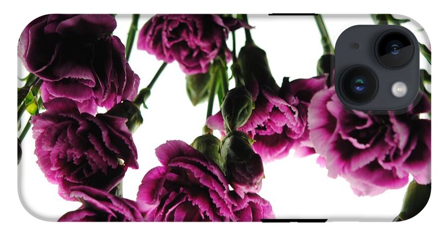 Pink Carnations on White - Phone Case