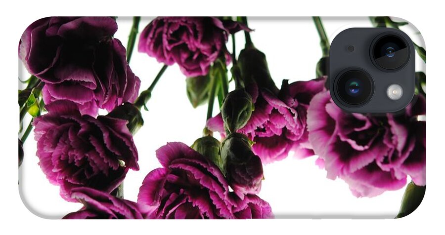 Pink Carnations on White - Phone Case