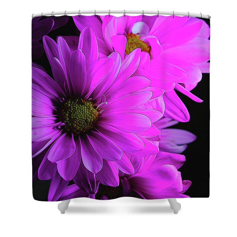 Pink Daisies - Shower Curtain