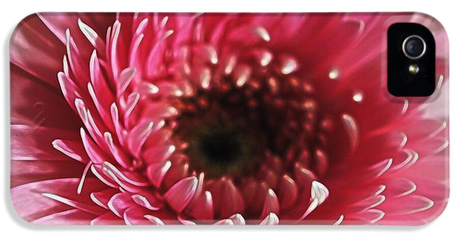 Pink Daisy Close Up - Phone Case