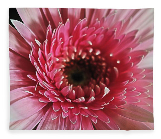 Pink Daisy Close Up - Blanket