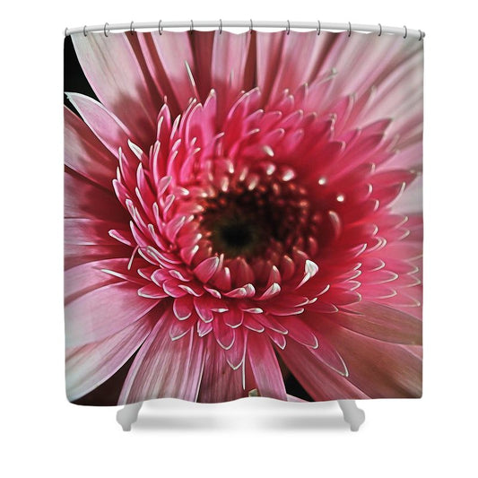 Pink Daisy Close Up - Shower Curtain