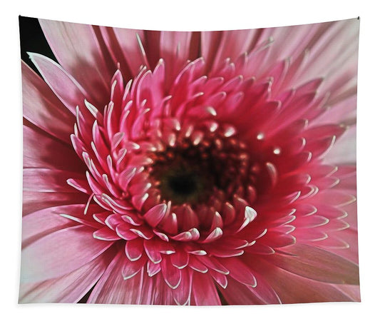 Pink Daisy Close Up - Tapestry