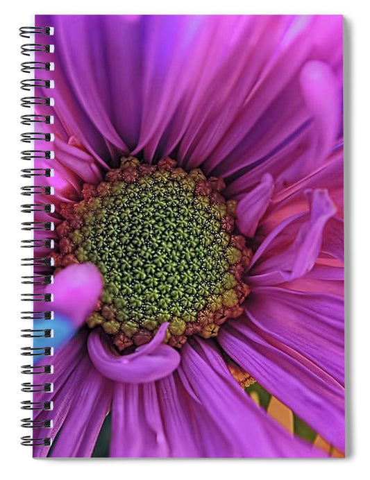 Pink Daisy Flower - Spiral Notebook