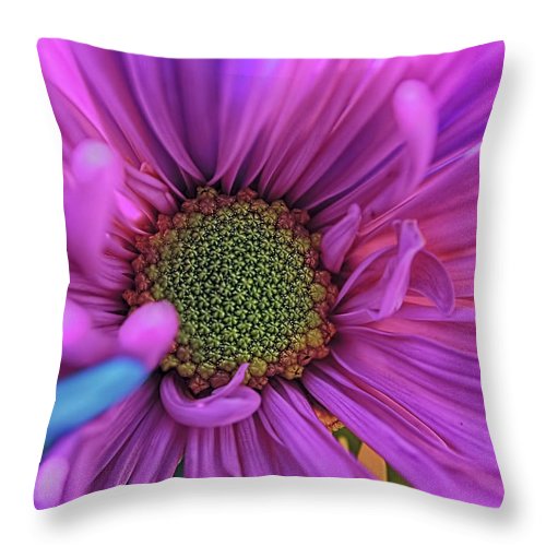 Pink Daisy Flower - Throw Pillow