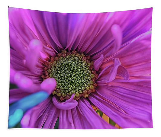 Pink Daisy Flower - Tapestry