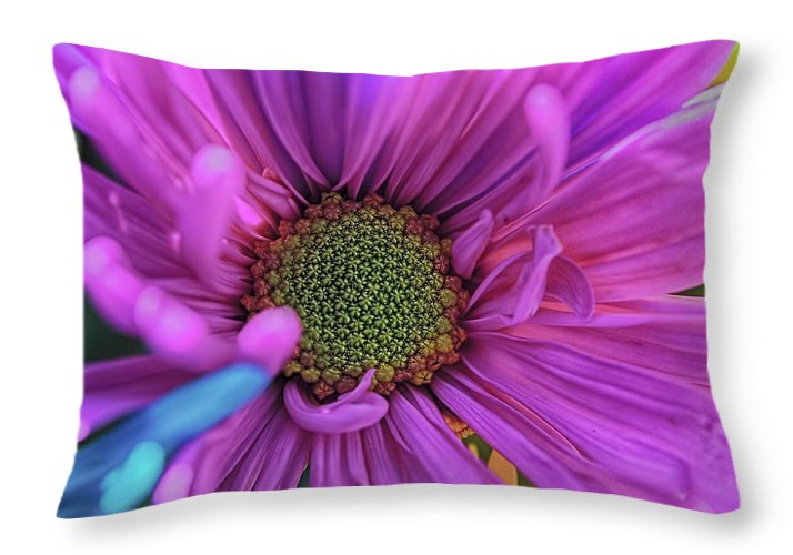 Pink Daisy Flower - Throw Pillow