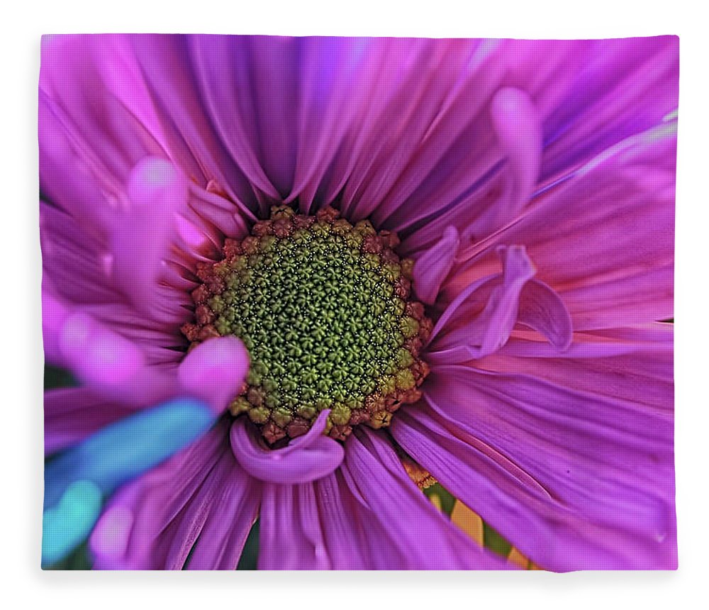 Pink Daisy Flower - Blanket