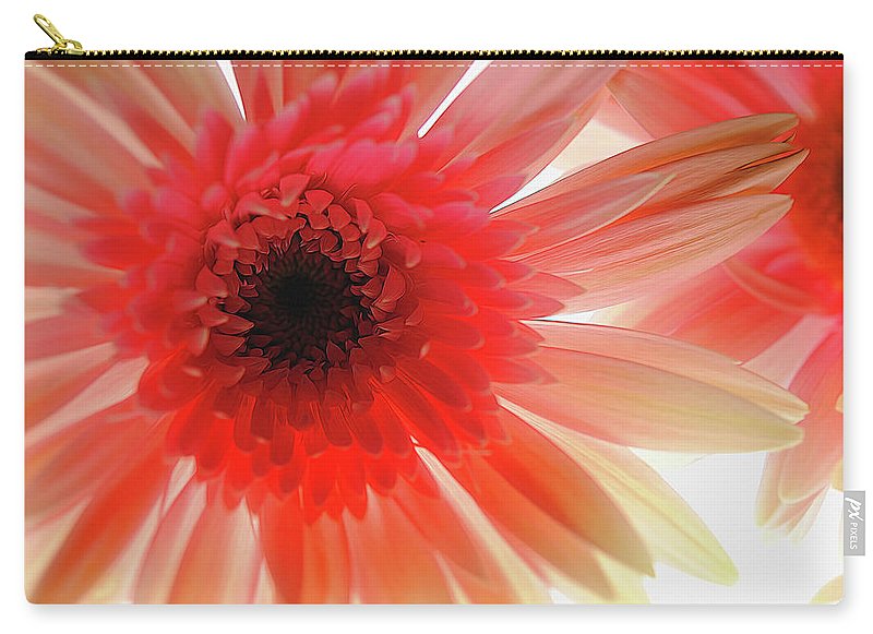 Pink Daisy On Light - Carry-All Pouch