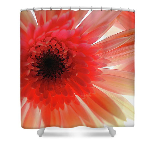 Pink Daisy On Light - Shower Curtain