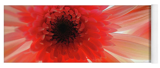 Pink Daisy On Light - Yoga Mat