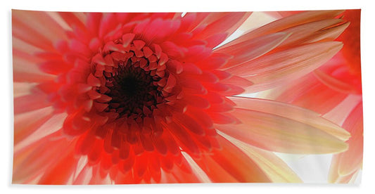 Pink Daisy On Light - Beach Towel