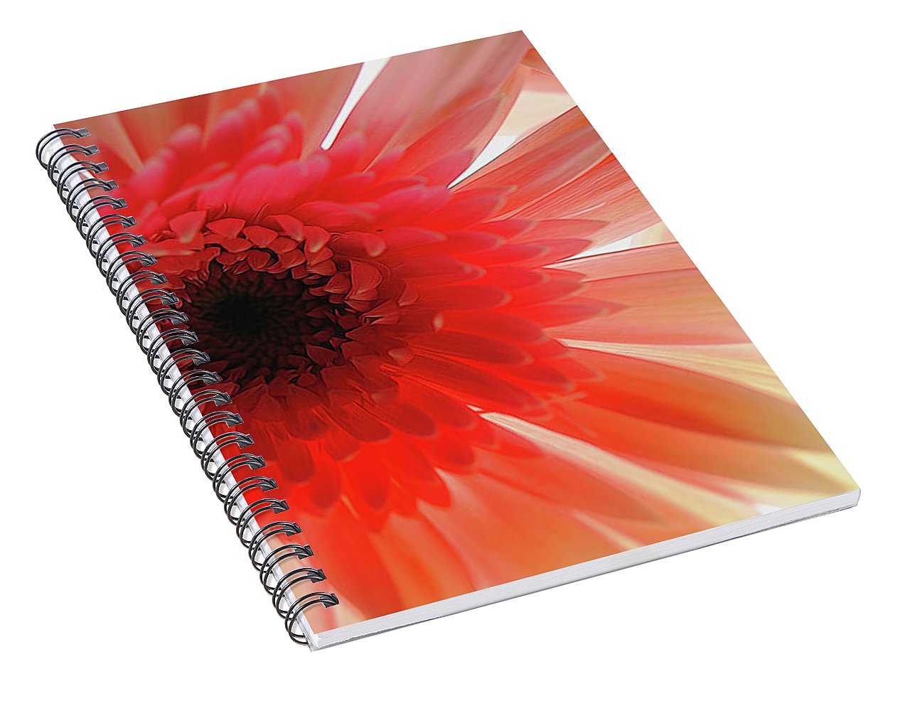 Pink Daisy On Light - Spiral Notebook